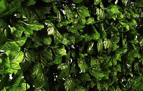 Gard Verde Plasa - Iedera 150x300 cm 